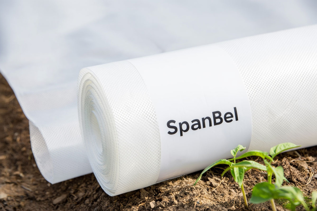 СпанБел (SpanBel) 